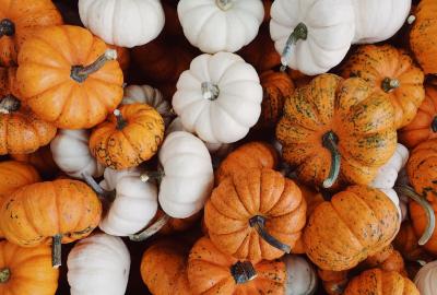 bird's eye view of a collection of orange and white pumpkins.