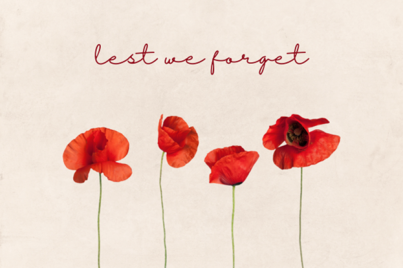 Remembrance Day - No School