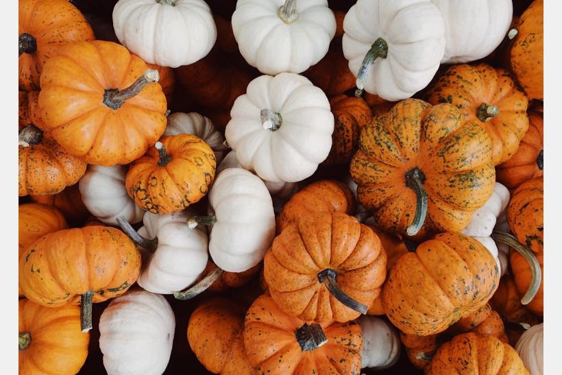 bird's eye view of a collection of orange and white pumpkins.